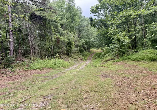 Homes for sale in Lexington, MS | 568 Smith Bailey Rd, Lexington, MS 39095 | MLS# 4154935