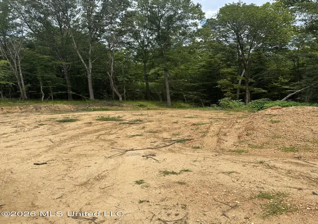 Photo 2 of Land for sale at Gravel Springs Rd, Senatobia, MS 38668 | MLS# 4155119 | Listing updated on 2026-07-08