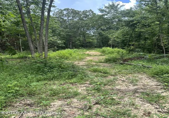 Photo 3 of Land for sale at Gravel Springs Rd, Senatobia, MS 38668 | MLS# 4155119 | Listing updated on 2026-07-08