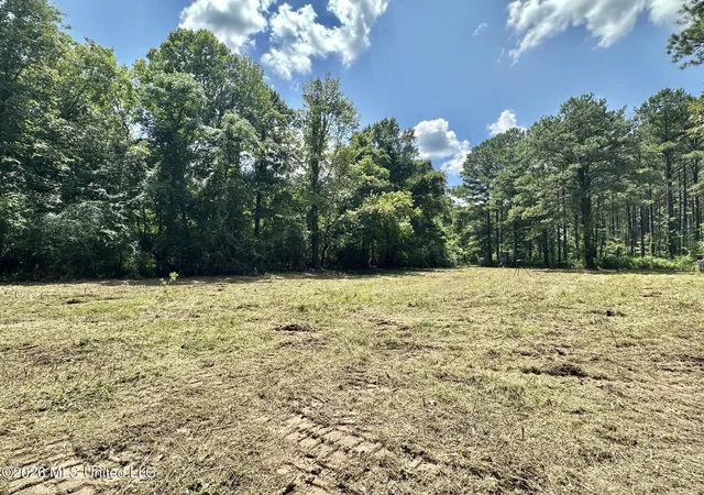 Homes for sale in Kosciusko, MS | Hwy 43 Hwy, Kosciusko, MS 39090 | MLS# 4154915