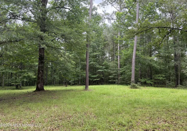 Homes for sale in Florence, MS | 112 Lake Louise Dr, Florence, MS 39073 | MLS# 4154984