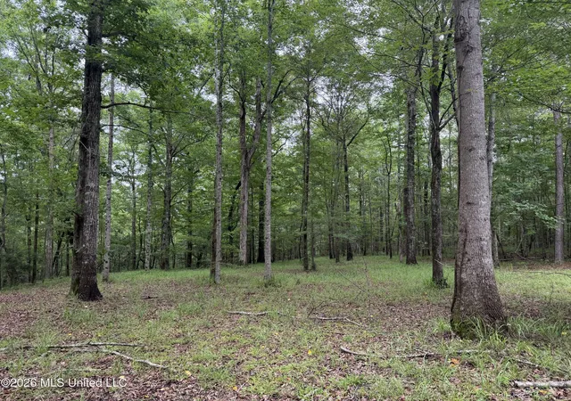 Homes for sale in Florence, MS | 112 Lake Louise Dr, Florence, MS 39073 | MLS# 4154984