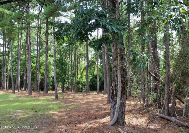 Homes for sale in Vancleave, MS | 39Ac Little Bluff Dr, Vancleave, MS 39565 | MLS# 4154930