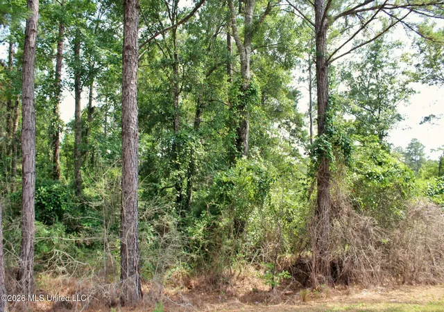 Homes for sale in Vancleave, MS | 39Ac Little Bluff Dr, Vancleave, MS 39565 | MLS# 4154930