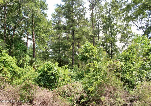Homes for sale in Vancleave, MS | 39ac Little Bluff Dr, Vancleave, MS 39565 | MLS# 4154930