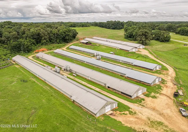 Homes for sale in Lena, MS | 112 Old Hwy 13, Lena, MS 39094 | MLS# 4155041