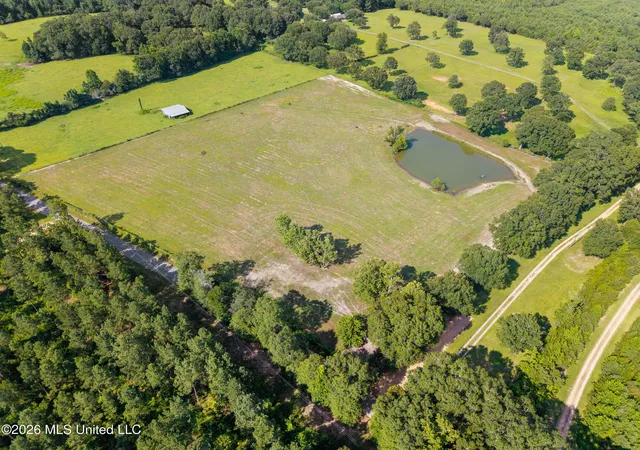 Homes for sale in Lumberton, MS | 628 Baxterville Rd, Lumberton, MS 39455 | MLS# 4154982