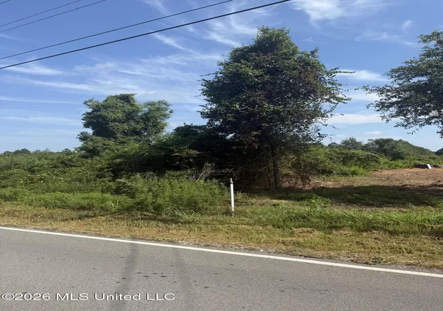 2nd image of Davis Sawmill Rd, Lucedale, MS 39452 | MLS# 4155020