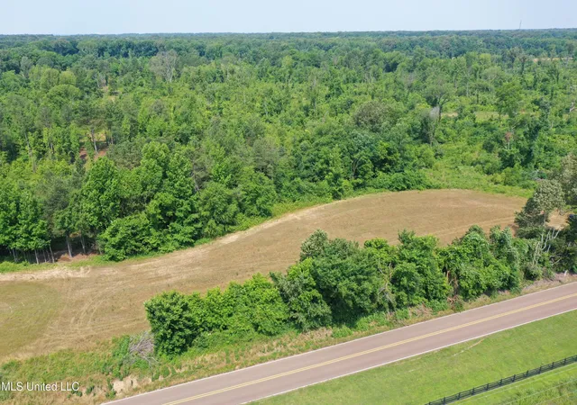 Homes for sale in Lake Cormorant, MS | 0 Baldwin Rd, Lake Cormorant, MS 38641 | MLS# 4154989