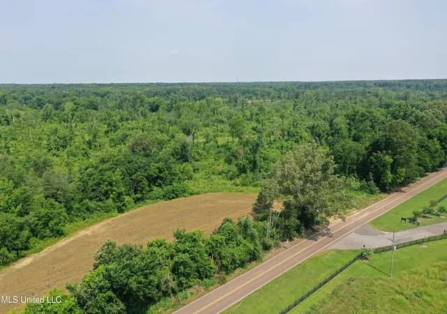 Homes for sale in Lake Cormorant, MS | 0 Baldwin Rd, Lake Cormorant, MS 38641 | MLS# 4154989