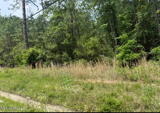 Homes for sale in Bay Saint Louis, MS | W Adams St, Bay Saint Louis, MS 39520 | MLS# 4155135