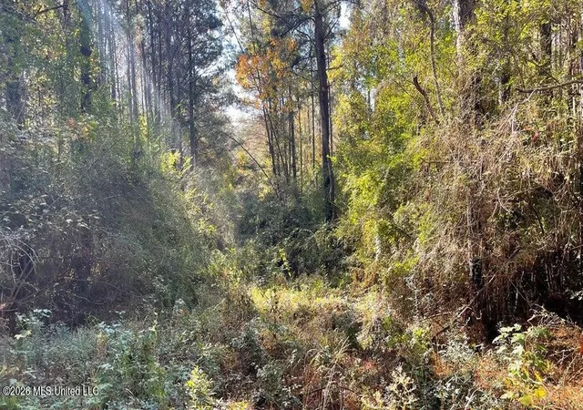 Photo 1 of Land for sale at Delaware Ave, Mc Comb, MS 39648 | MLS# 4155005 | Listing updated on 2026-07-08