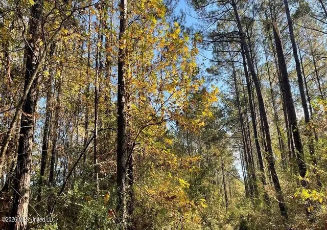 Photo 2 of Land for sale at Delaware Ave, Mc Comb, MS 39648 | MLS# 4155005 | Listing updated on 2026-07-08