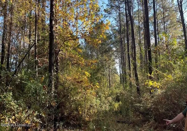 Photo 3 of Land for sale at Delaware Ave, Mc Comb, MS 39648 | MLS# 4155005 | Listing updated on 2026-07-08