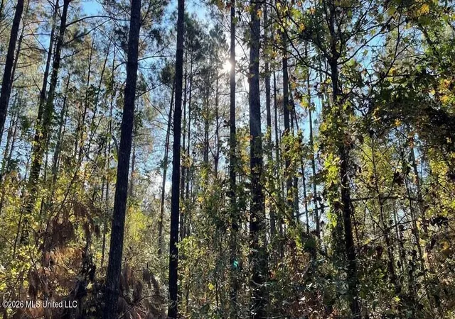 Photo 3 of Land for sale at Delaware Ave, Mc Comb, MS 39648 | MLS# 4155005 | Listing updated on 2026-07-08