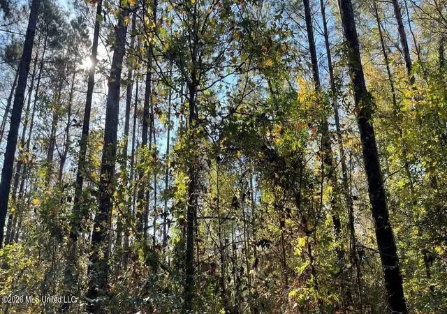 Photo 4 of Land for sale at Delaware Ave, Mc Comb, MS 39648 | MLS# 4155005 | Listing updated on 2026-07-08