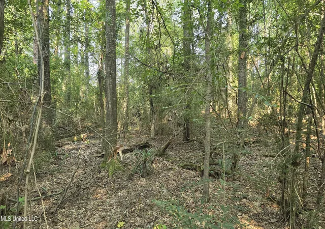 Homes for sale in Roxie, MS | 000 Alabama St, Roxie, MS 39661 | MLS# 4155007