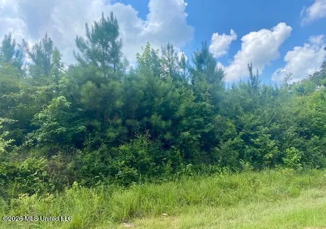 Homes for sale in Summit, MS | County Line Rd, Summit, MS 39666 | MLS# 4155019
