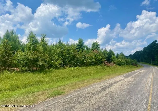 Homes for sale in Summit, MS | County Line Rd, Summit, MS 39666 | MLS# 4155019