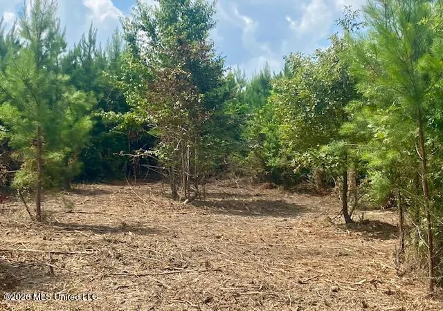 Homes for sale in Summit, MS | County Line Rd, Summit, MS 39666 | MLS# 4155019