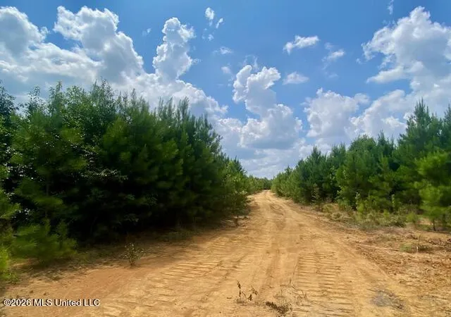Homes for sale in Summit, MS | County Line Rd, Summit, MS 39666 | MLS# 4155019
