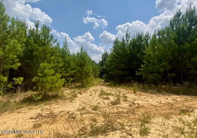 Homes for sale in Summit, MS | County Line Rd, Summit, MS 39666 | MLS# 4155019