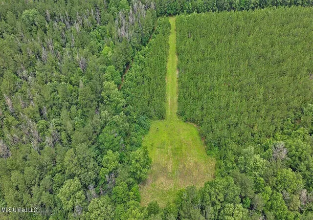 2nd image of 772 Mount Helm Rd, Brandon, MS 39047 | MLS# 4155035