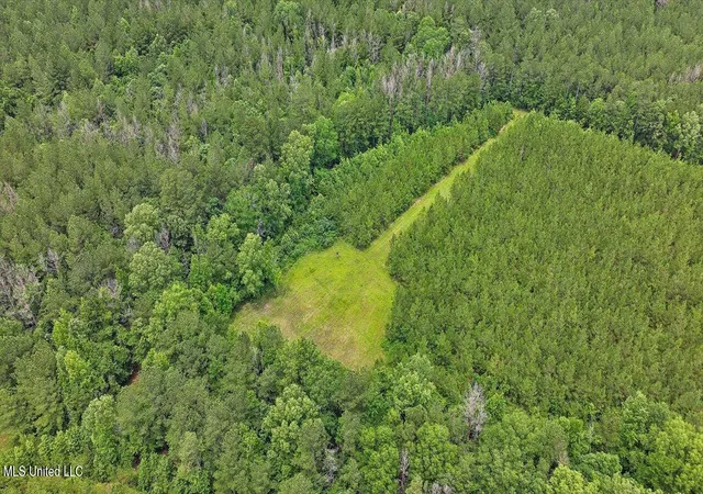 3rd image of 772 Mount Helm Rd, Brandon, MS 39047 | MLS# 4155035