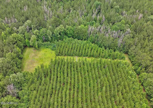 5th image of 772 Mount Helm Rd, Brandon, MS 39047 | MLS# 4155035