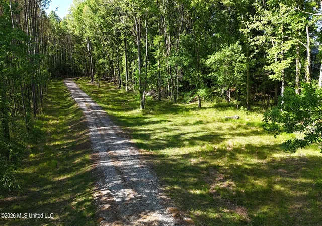 1st image of 358 Robinson Springs Rd Rd, Flora, MS 39071 | MLS# 4155046