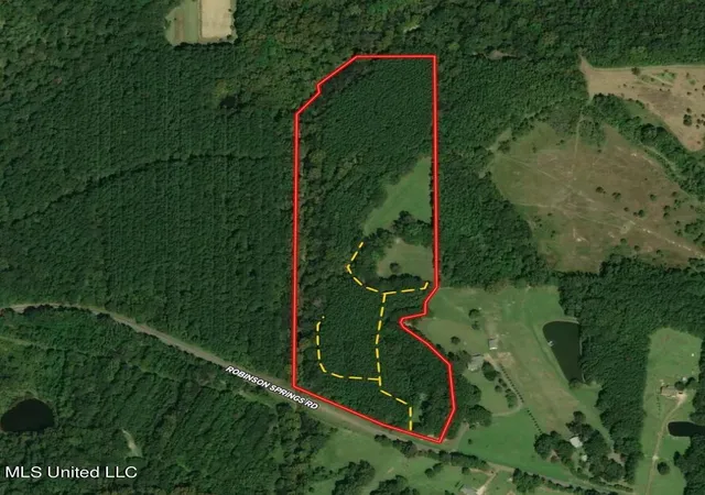 2nd image of 358 Robinson Springs Rd Rd, Flora, MS 39071 | MLS# 4155046