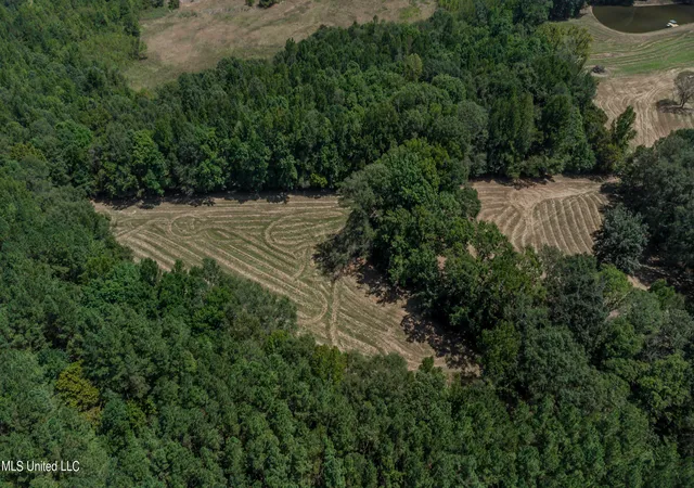 38th image of 358 Robinson Springs Rd Rd, Flora, MS 39071 | MLS# 4155046