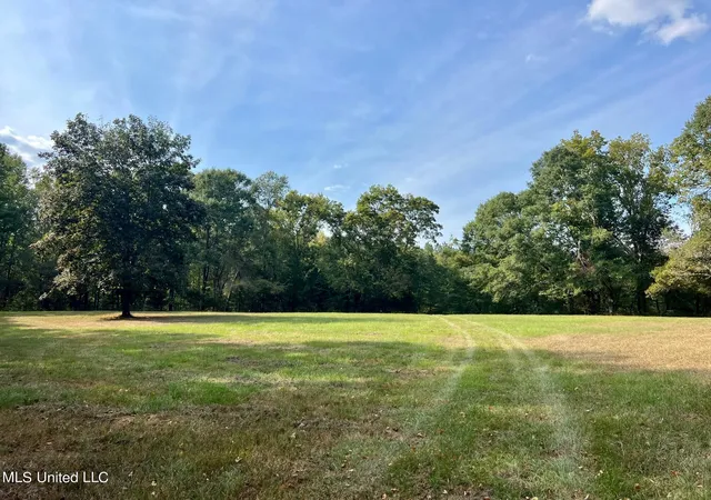 3rd image of 358 Robinson Springs Rd Rd, Flora, MS 39071 | MLS# 4155046