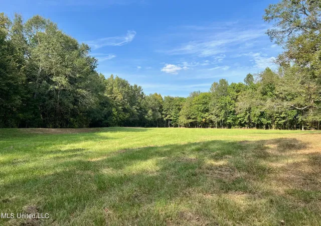 4th image of 358 Robinson Springs Rd Rd, Flora, MS 39071 | MLS# 4155046