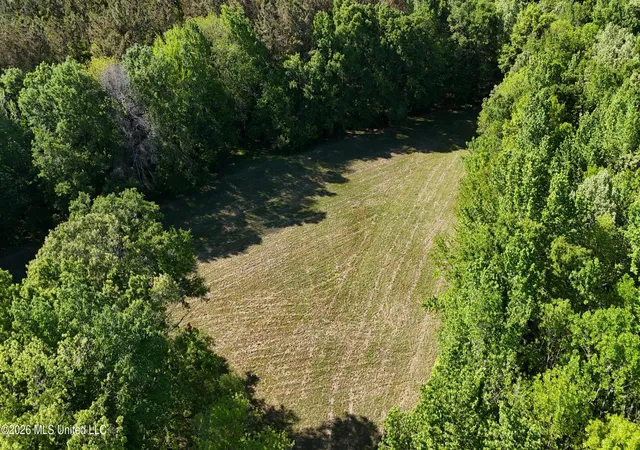 5th image of 358 Robinson Springs Rd Rd, Flora, MS 39071 | MLS# 4155046