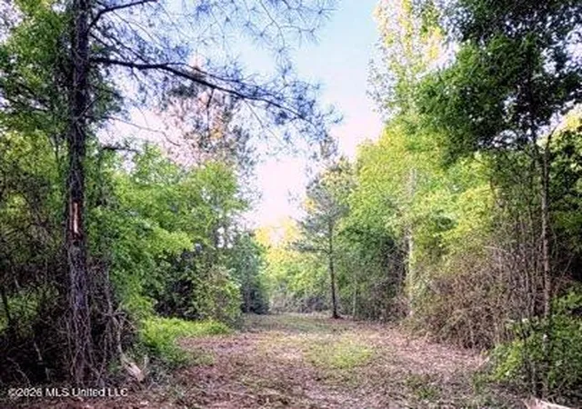 1st image of 0 Darron Hodge Ln, Poplarville, MS 39470 | MLS# 4155038