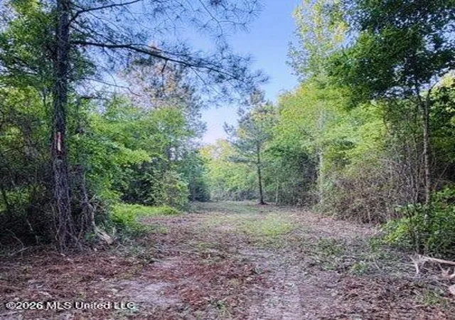 2nd image of 0 Darron Hodge Ln, Poplarville, MS 39470 | MLS# 4155038