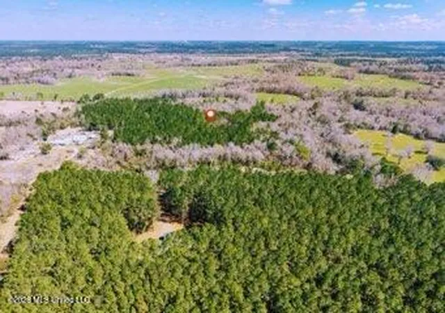 Photo 3 of Land for sale at 0 Darron Hodge Ln, Poplarville, MS 39470 | MLS# 4155038 | Listing updated on 2026-10-08