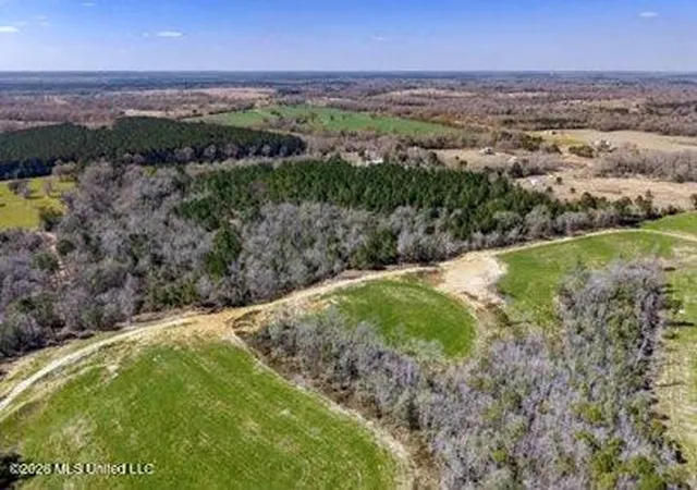 Photo 4 of Land for sale at 0 Darron Hodge Ln, Poplarville, MS 39470 | MLS# 4155038 | Listing updated on 2026-10-08