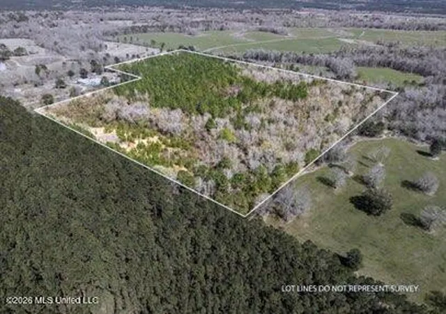 7th image of 0 Darron Hodge Ln, Poplarville, MS 39470 | MLS# 4155038