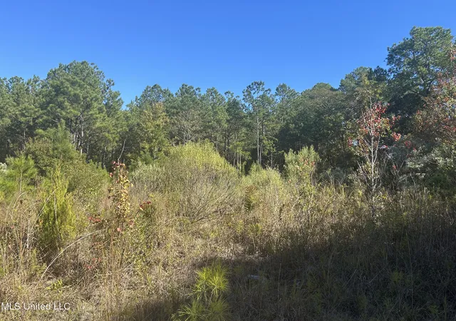 Photo 2 of Land for sale at Tbd N Highway 80, Pearl, MS 39208 | MLS# 4155057 | Listing updated on 2026-07-09