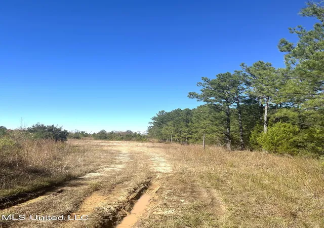 Photo 3 of Land for sale at Tbd N Highway 80, Pearl, MS 39208 | MLS# 4155057 | Listing updated on 2026-07-09