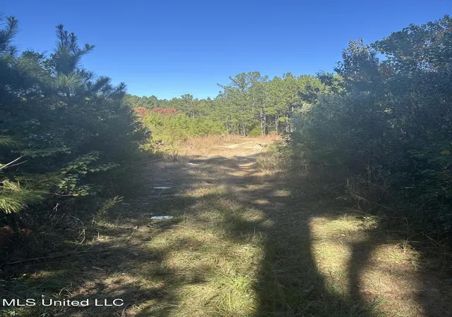 Photo 4 of Land for sale at Tbd N Highway 80, Pearl, MS 39208 | MLS# 4155057 | Listing updated on 2026-07-09