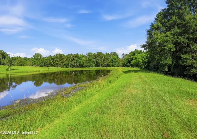 4th image of 683 Cedar Hill Rd, Flora, MS 39071 | MLS# 4155071