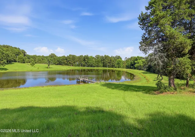 8th image of 683 Cedar Hill Rd, Flora, MS 39071 | MLS# 4155071