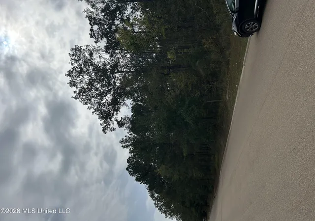 2nd image of Old Fannin Rd, Brandon, MS 39047 | MLS# 4155268