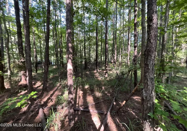 Homes for sale in Gloster, MS | Tbd Fox Rd, Gloster, MS 39638 | MLS# 4155093