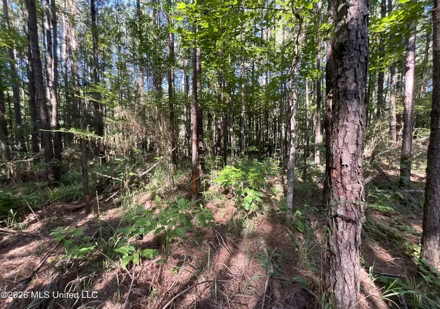 Homes for sale in Gloster, MS | Tbd Fox Rd, Gloster, MS 39638 | MLS# 4155093