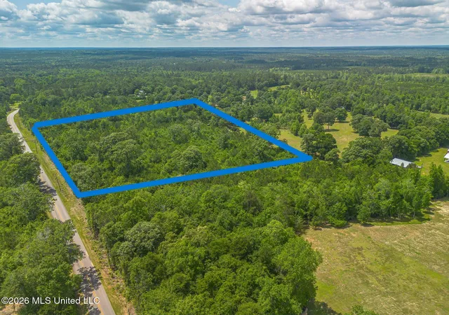 Homes for sale in Mc Henry, MS | Parcel B M P Parker Rd, Mc Henry, MS 39561 | MLS# 4155096