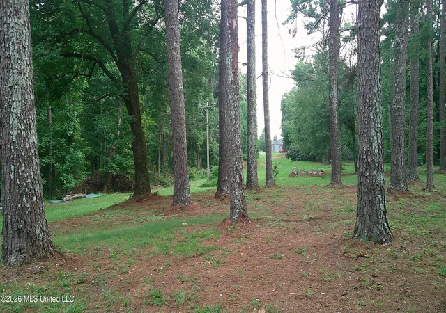 Homes for sale in Ripley, MS | 4580 County Road 701, Ripley, MS 38663 | MLS# 4155345